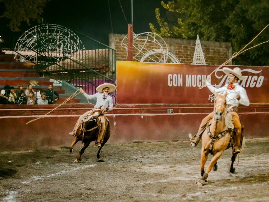 女款銀包的選購與保養指南