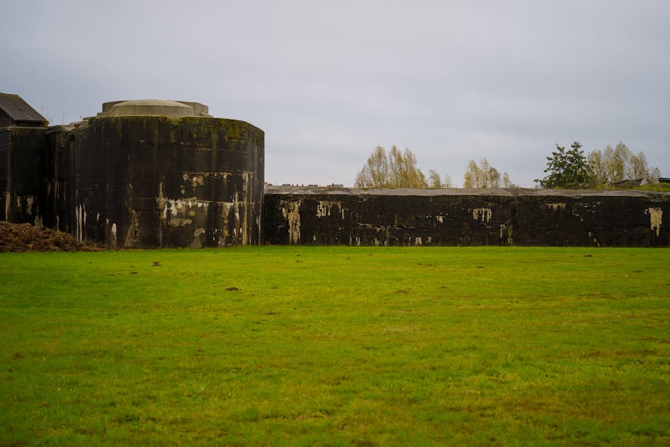 藍十字旅遊保險：守護您的安心旅程