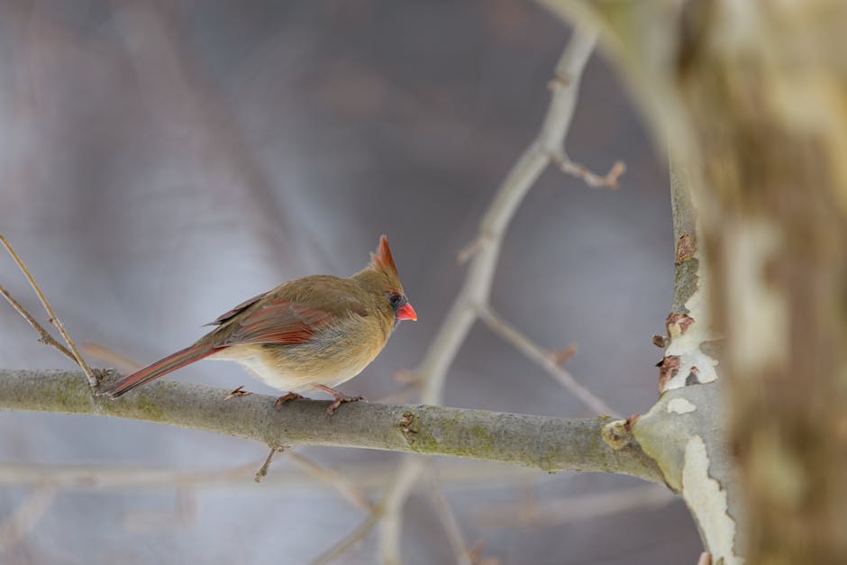 檢查乳房的重要性及實用指引